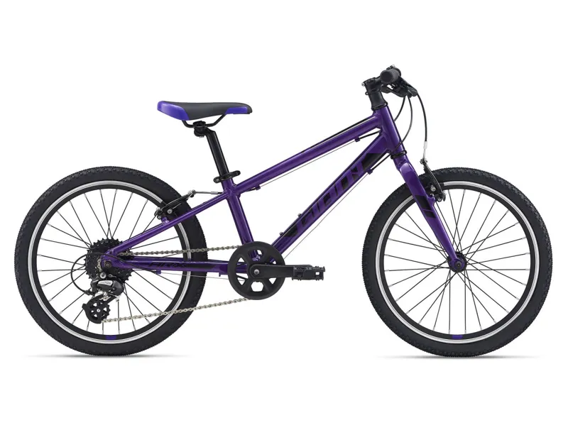 Giant ARX 20 Kids Aluminium Bike in Purple