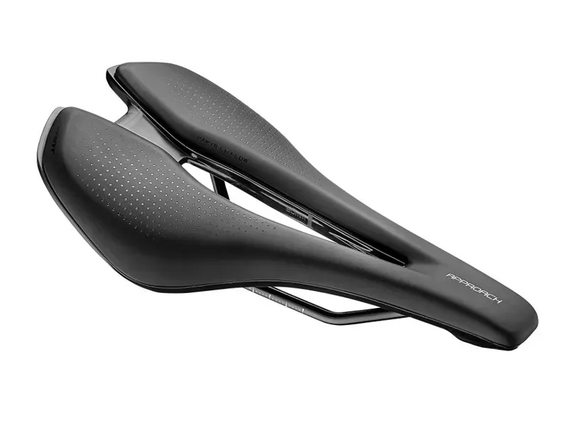 Giant Approach Saddle in Black