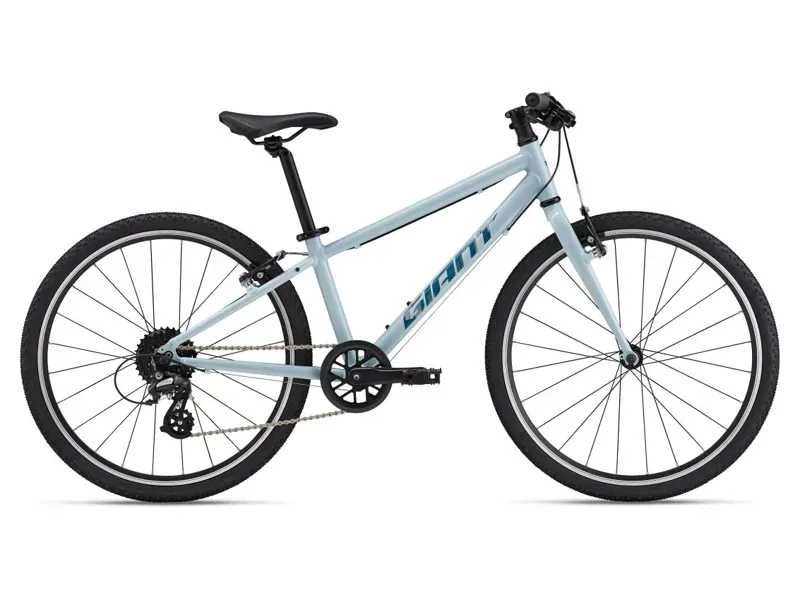 Giant ARX 24 Kids Bike In Soap Suds