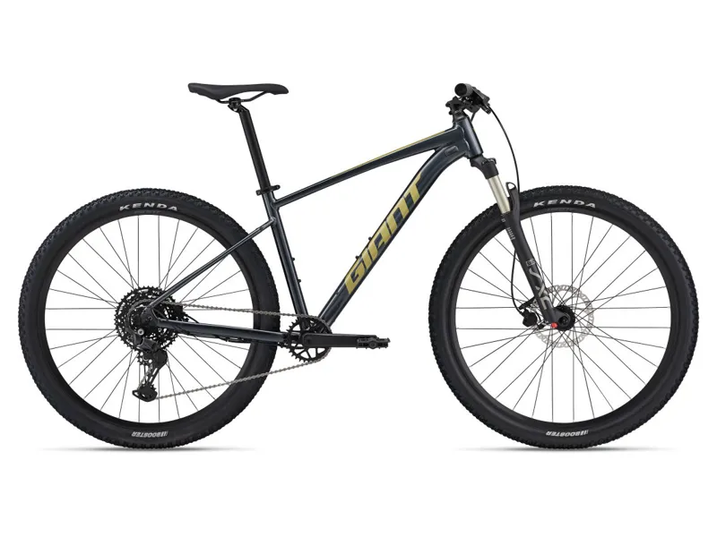 Giant Talon 1 Mountain Bike In Gloss Cold Iron/Bay Leaf