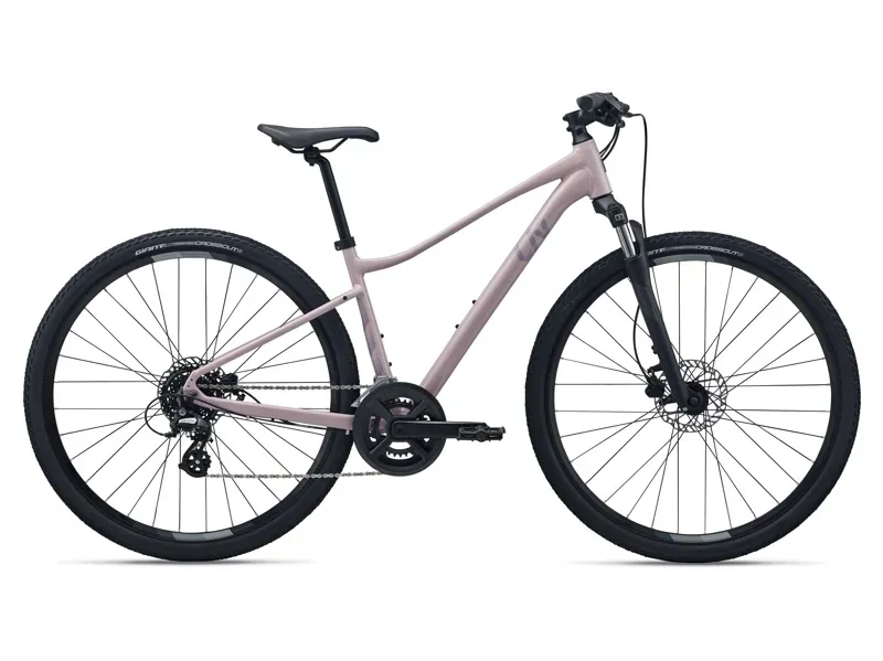Liv Rove 4 Hybrid Bike in Rosy Brown