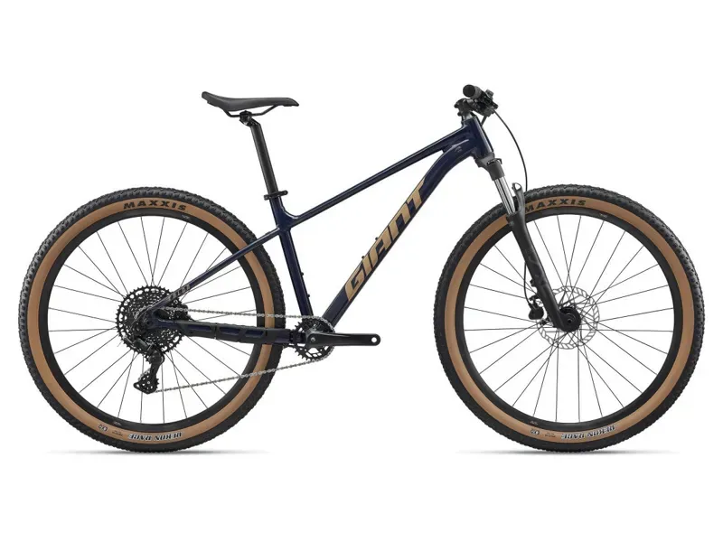 Giant Talon 29 2 Mountain Bike in Eclipse