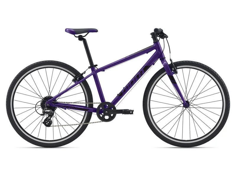 Giant ARX 26 Kid's Bike In Purple