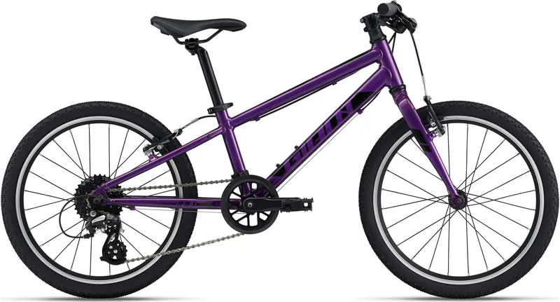 Purple adult 2025 bike