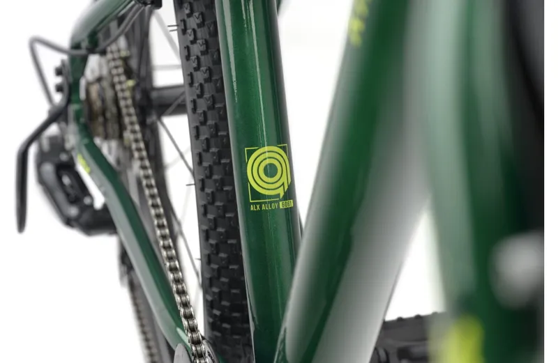 Ridgeback MX24 Kids Bike in Grenadier Green-4