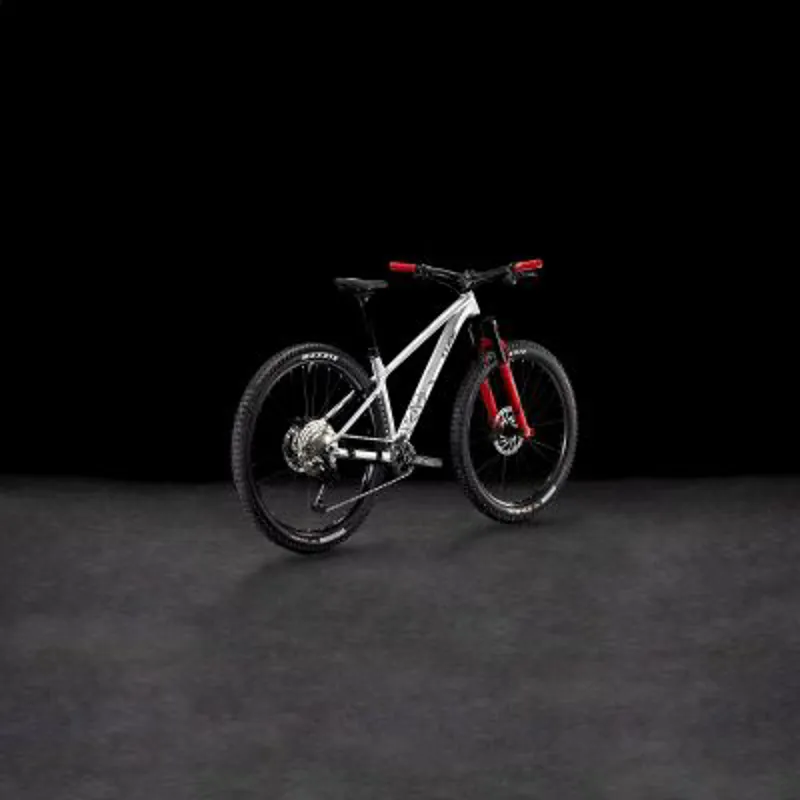Cube Reaction TM Pro Trail Bike in Rawmetal/Reflect-7